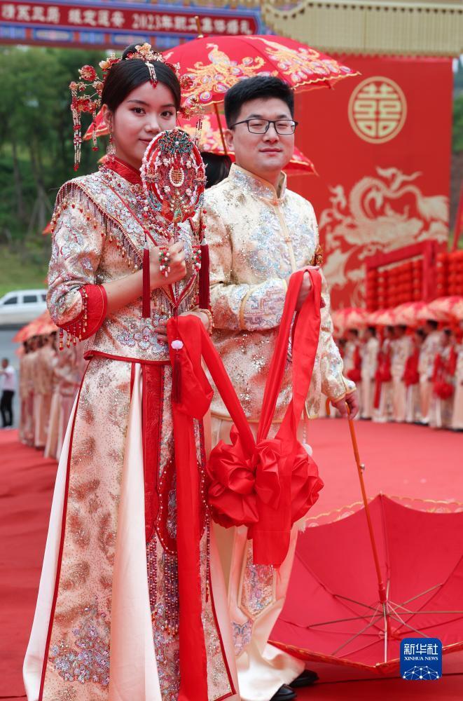 白菜平台大全